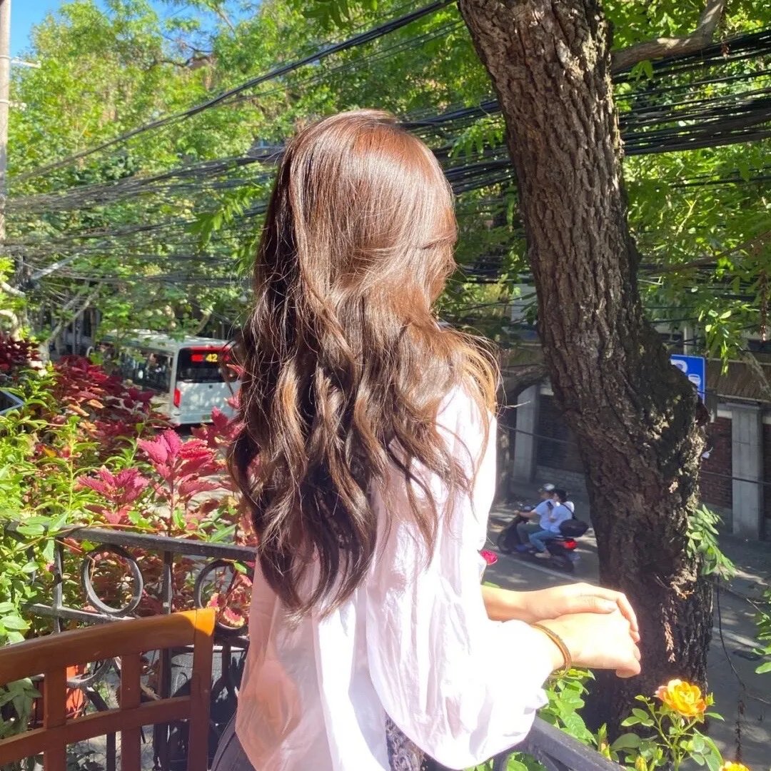 中国诗词大会第五季