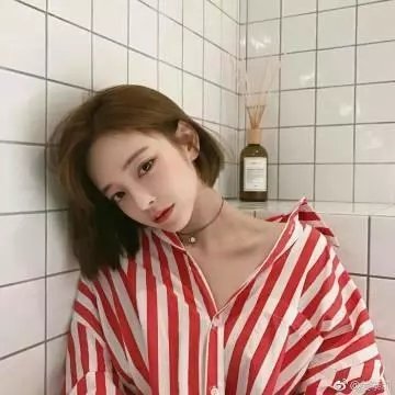 模范刑警第二季