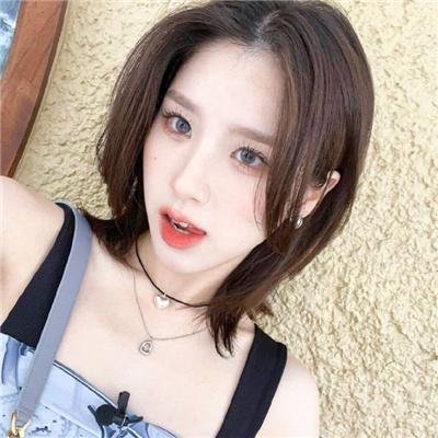 海龟故事